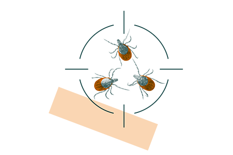 Pest control