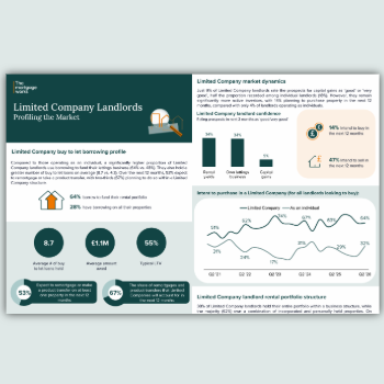 limited company report